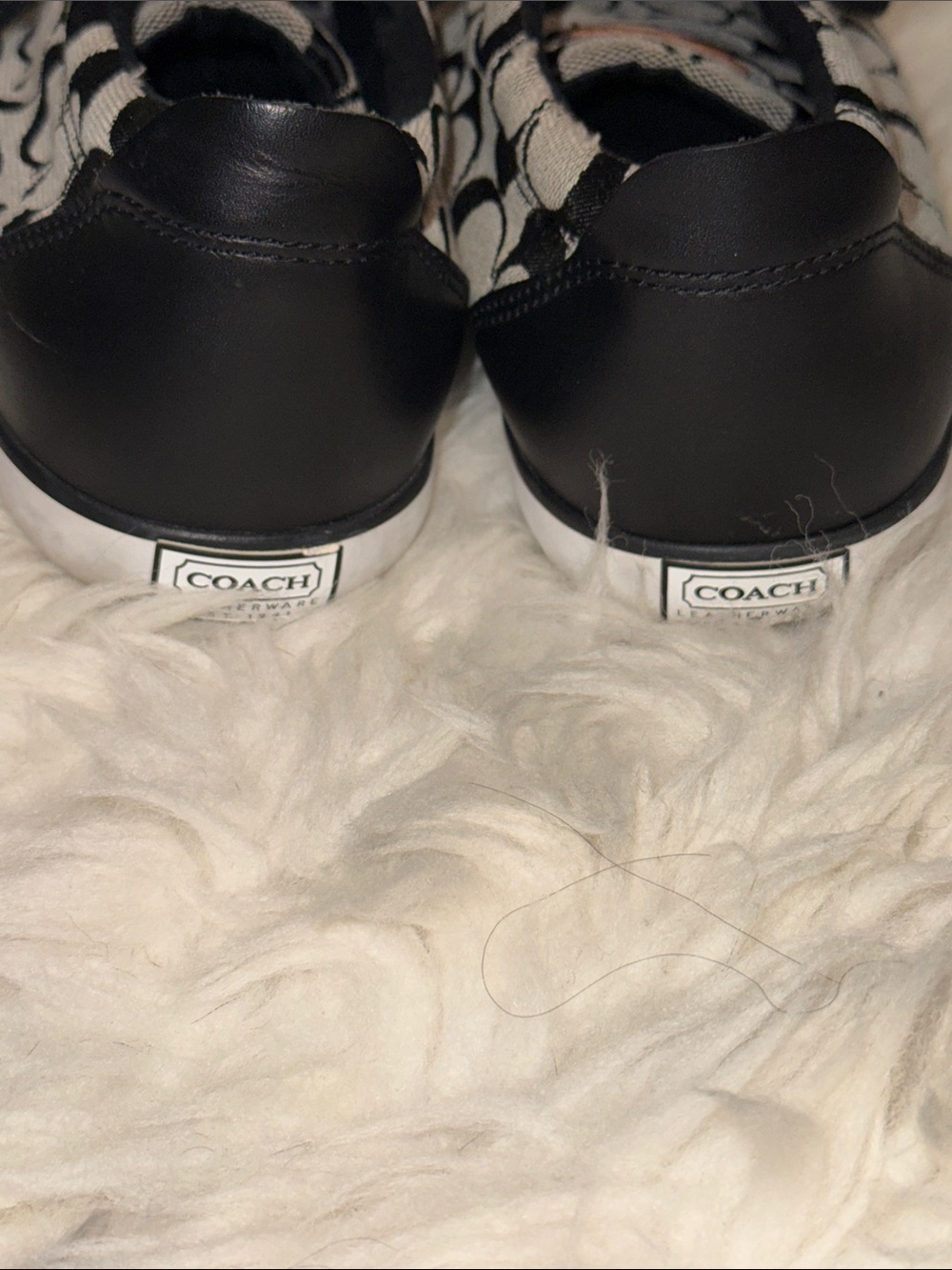Coach Baret Black and Gray Signature Canvas Lace-Up Sneakers - Picture 4 of 6